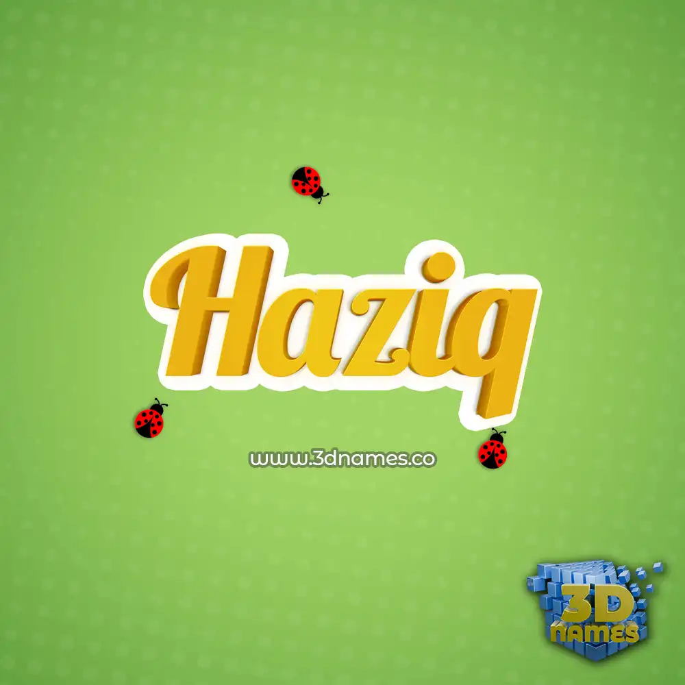 haziq in Ladybugs style - 3D name wallpaper