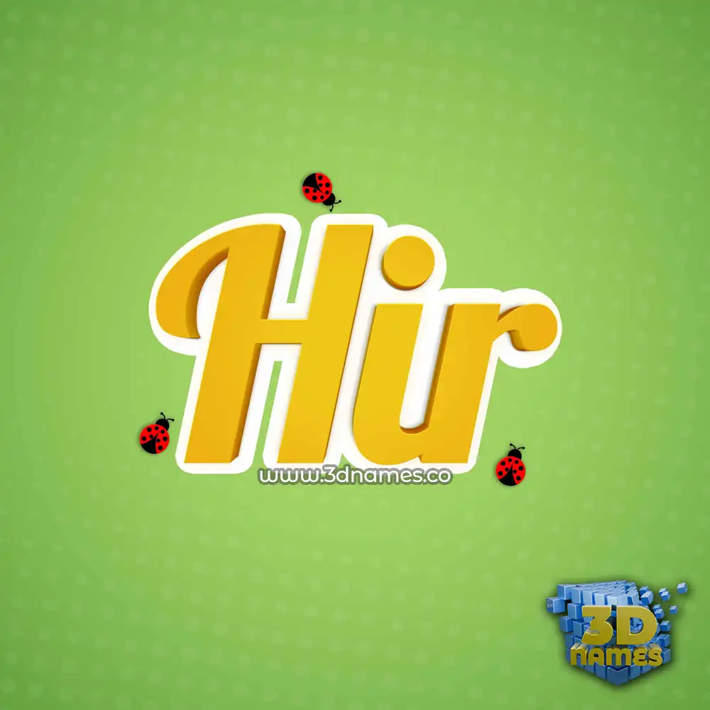 hir in Ladybugs style - 3D name wallpaper