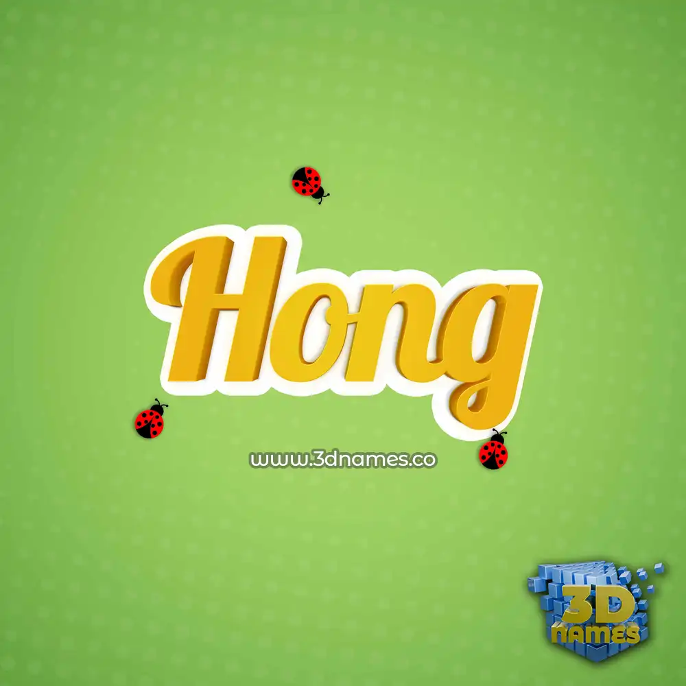 hong in Ladybugs style - 3D name wallpaper