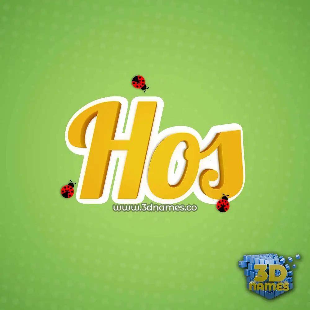 hos in Ladybugs style - 3D name wallpaper