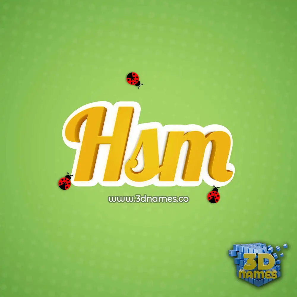 hsm in Ladybugs style - 3D name wallpaper