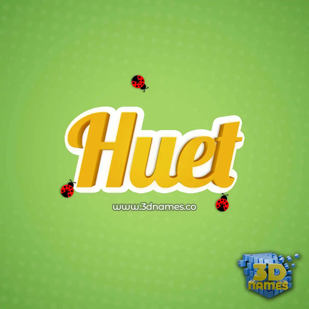 huet in Ladybugs style - 3D name wallpaper