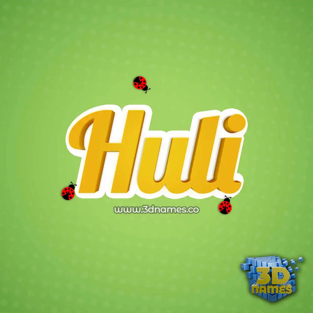 huli in Ladybugs style - 3D name wallpaper