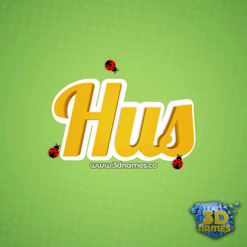 hus in Ladybugs style - 3D name wallpaper