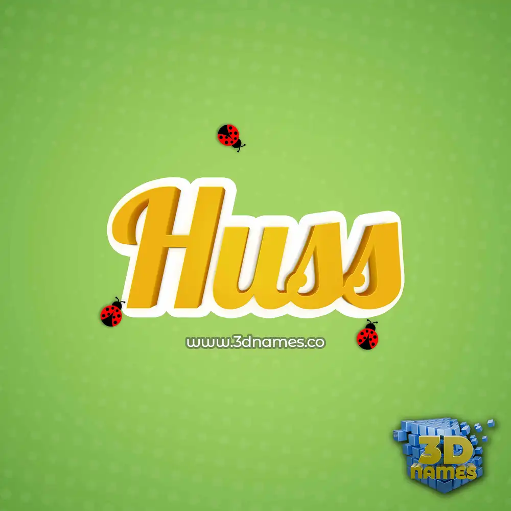 huss in Ladybugs style - 3D name wallpaper