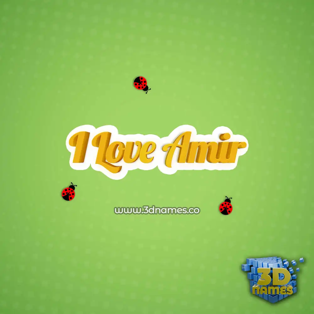 i love amir in Ladybugs style - 3D name wallpaper