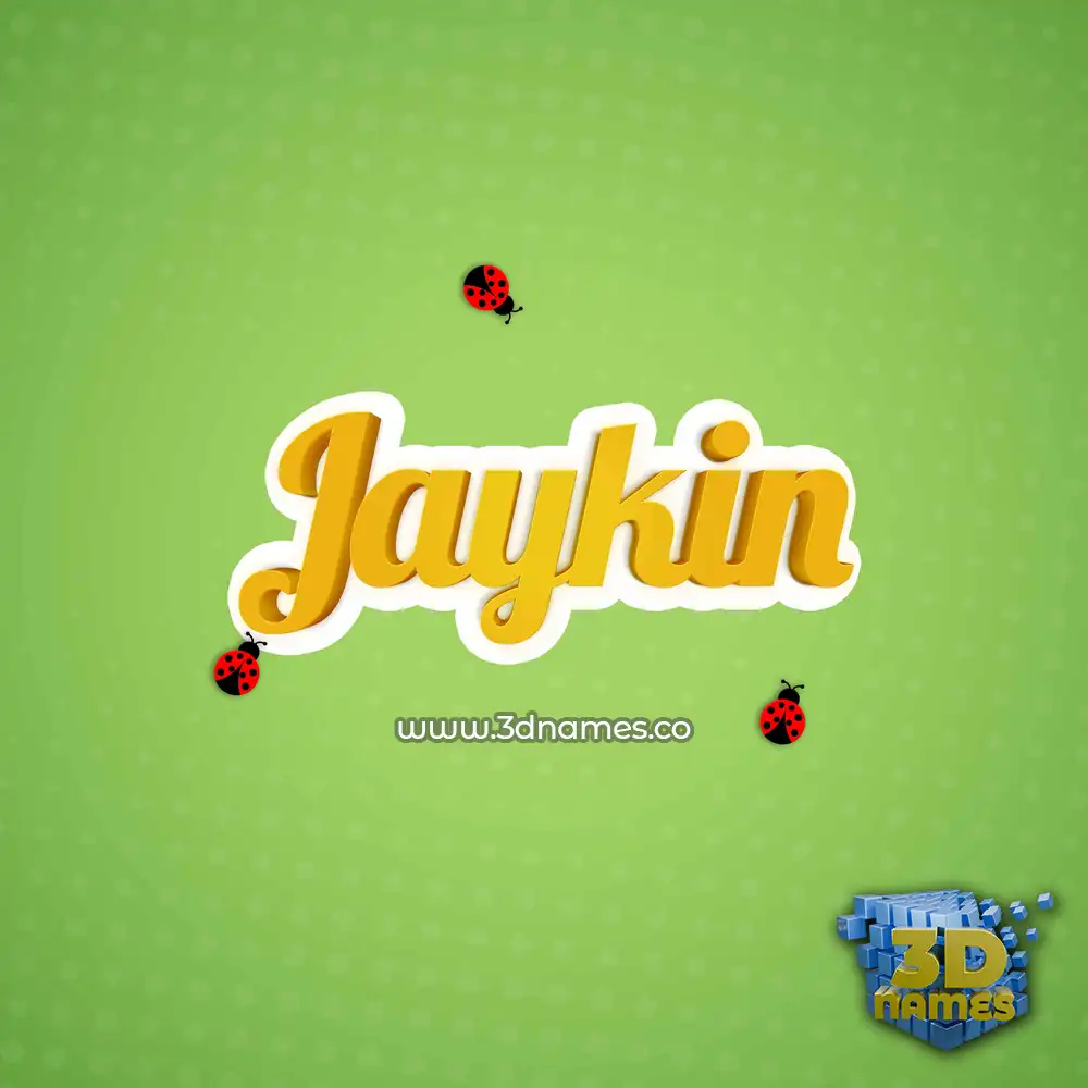 jaykin in Ladybugs style - 3D name wallpaper