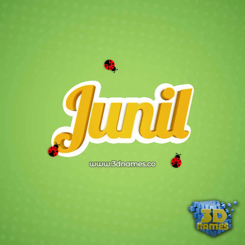 junil in Ladybugs style - 3D name wallpaper