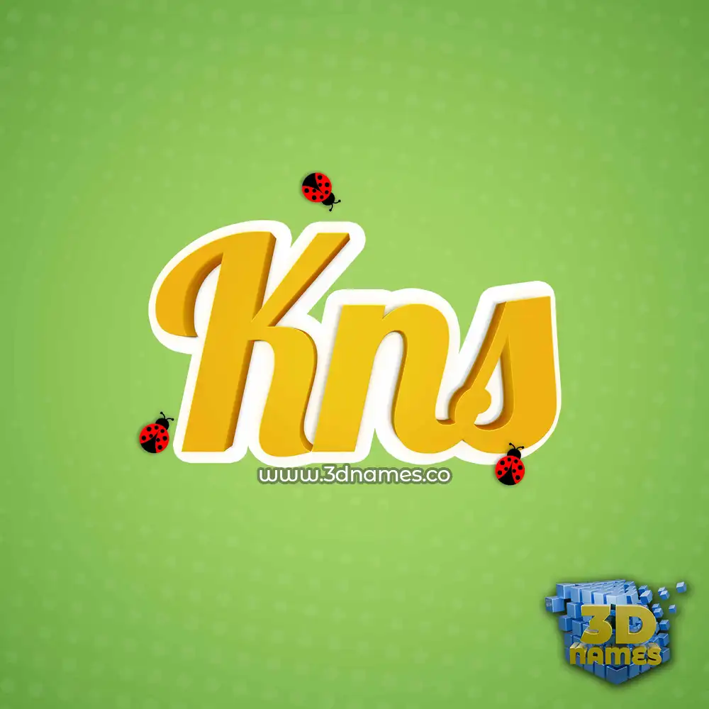 kns in Ladybugs style - 3D name wallpaper