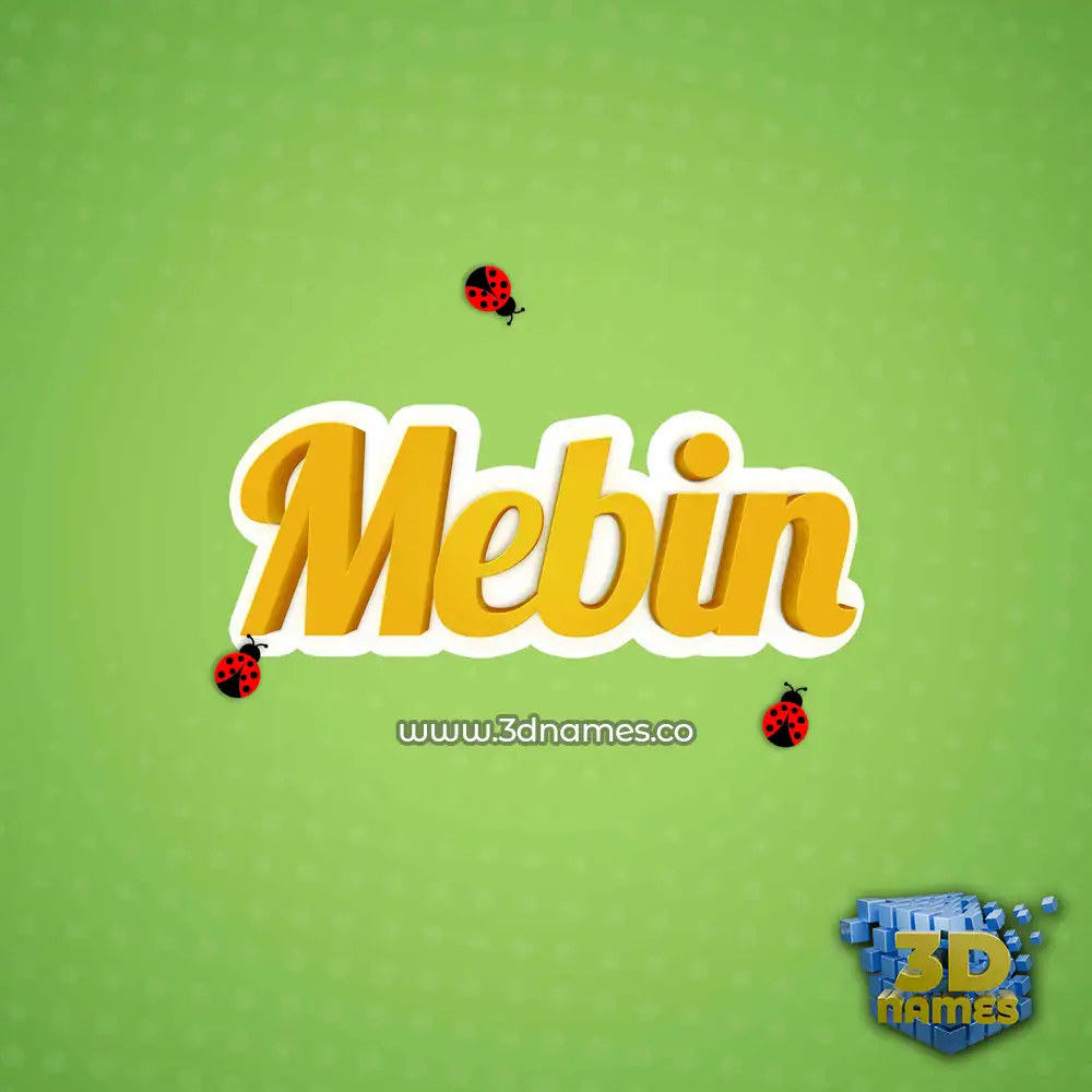 mebin in Ladybugs style - 3D name wallpaper