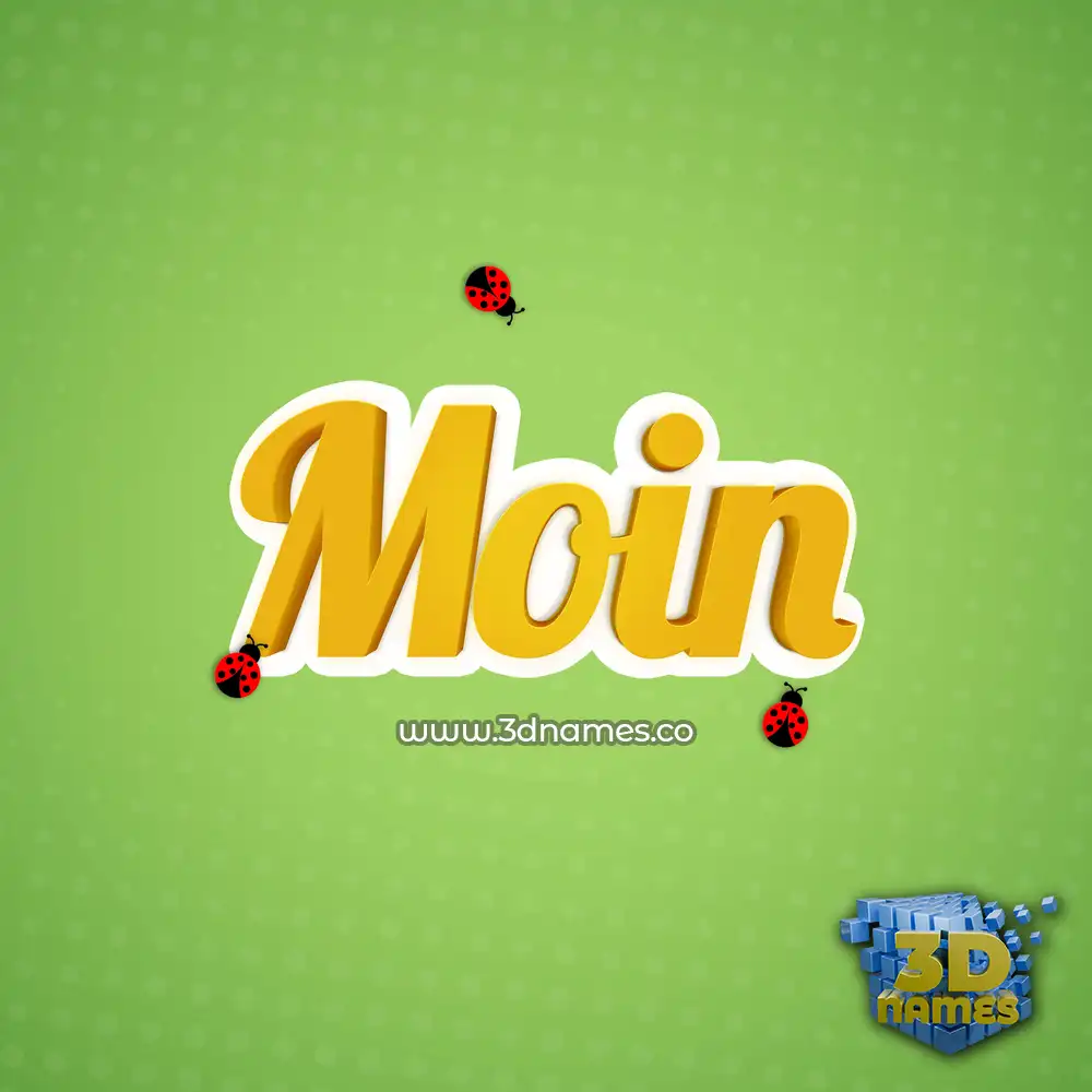 moin in Ladybugs style - 3D name wallpaper