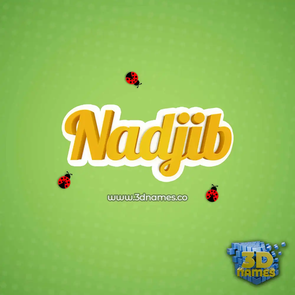 nadjib in Ladybugs style - 3D name wallpaper