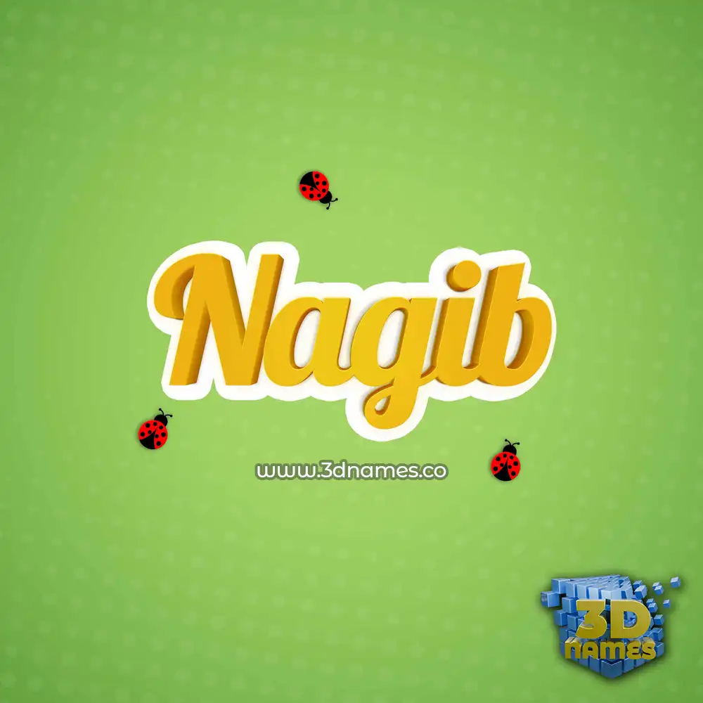 nagib in Ladybugs style - 3D name wallpaper