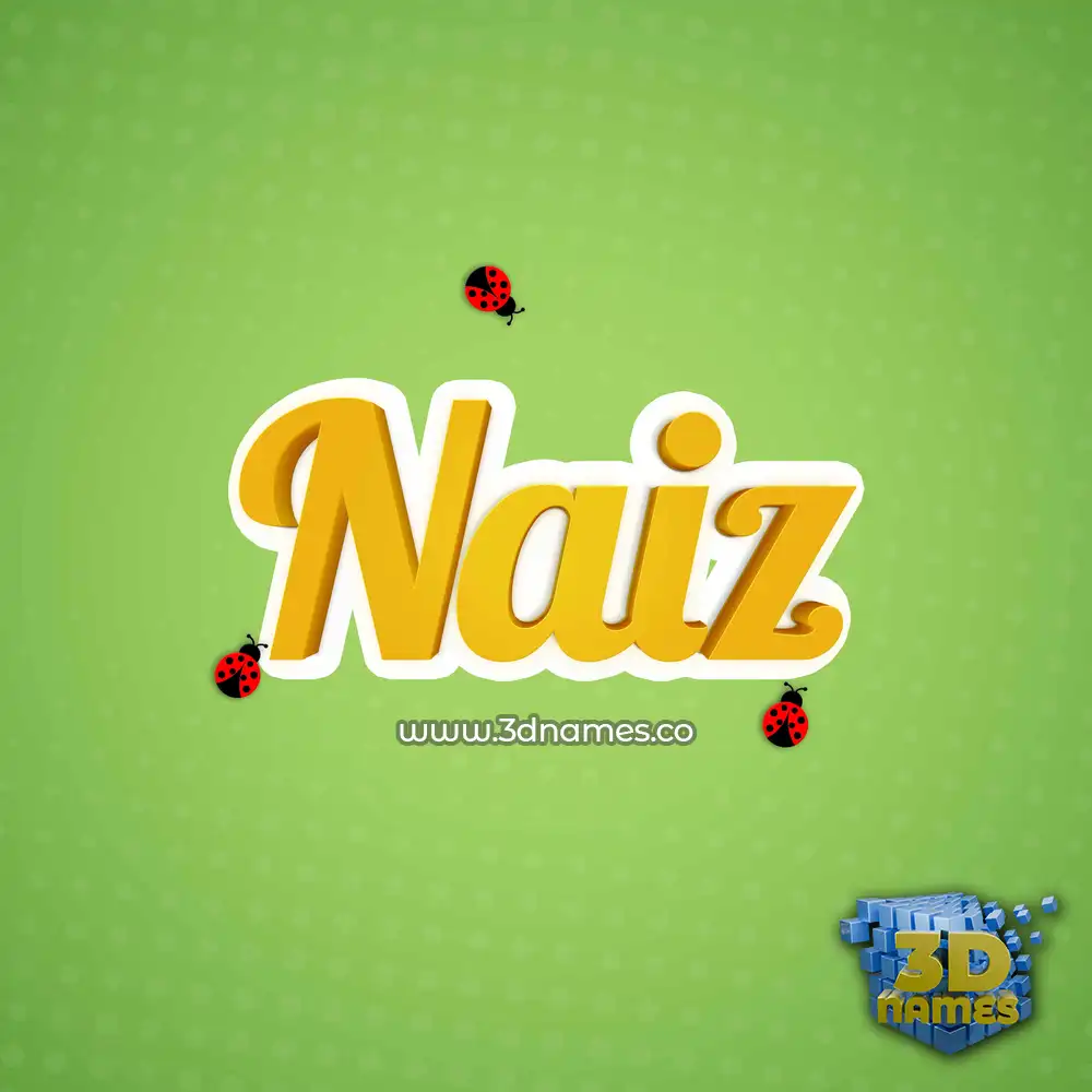 naiz in Ladybugs style - 3D name wallpaper
