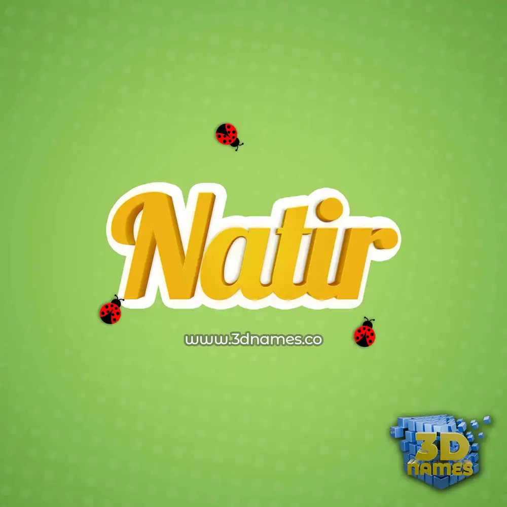 natir in Ladybugs style - 3D name wallpaper