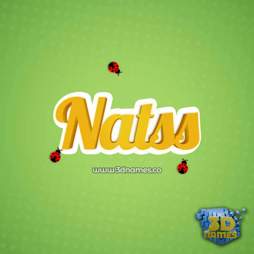 natss in Ladybugs style - 3D name wallpaper