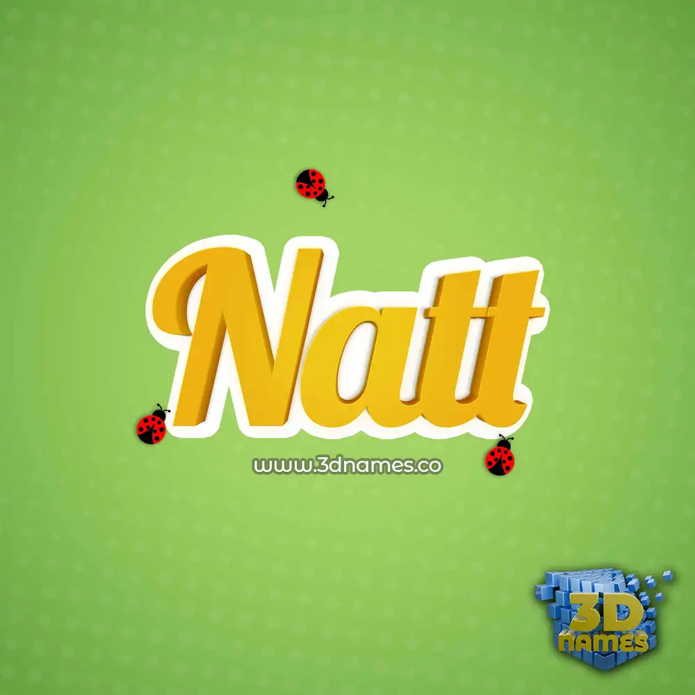 natt in Ladybugs style - 3D name wallpaper
