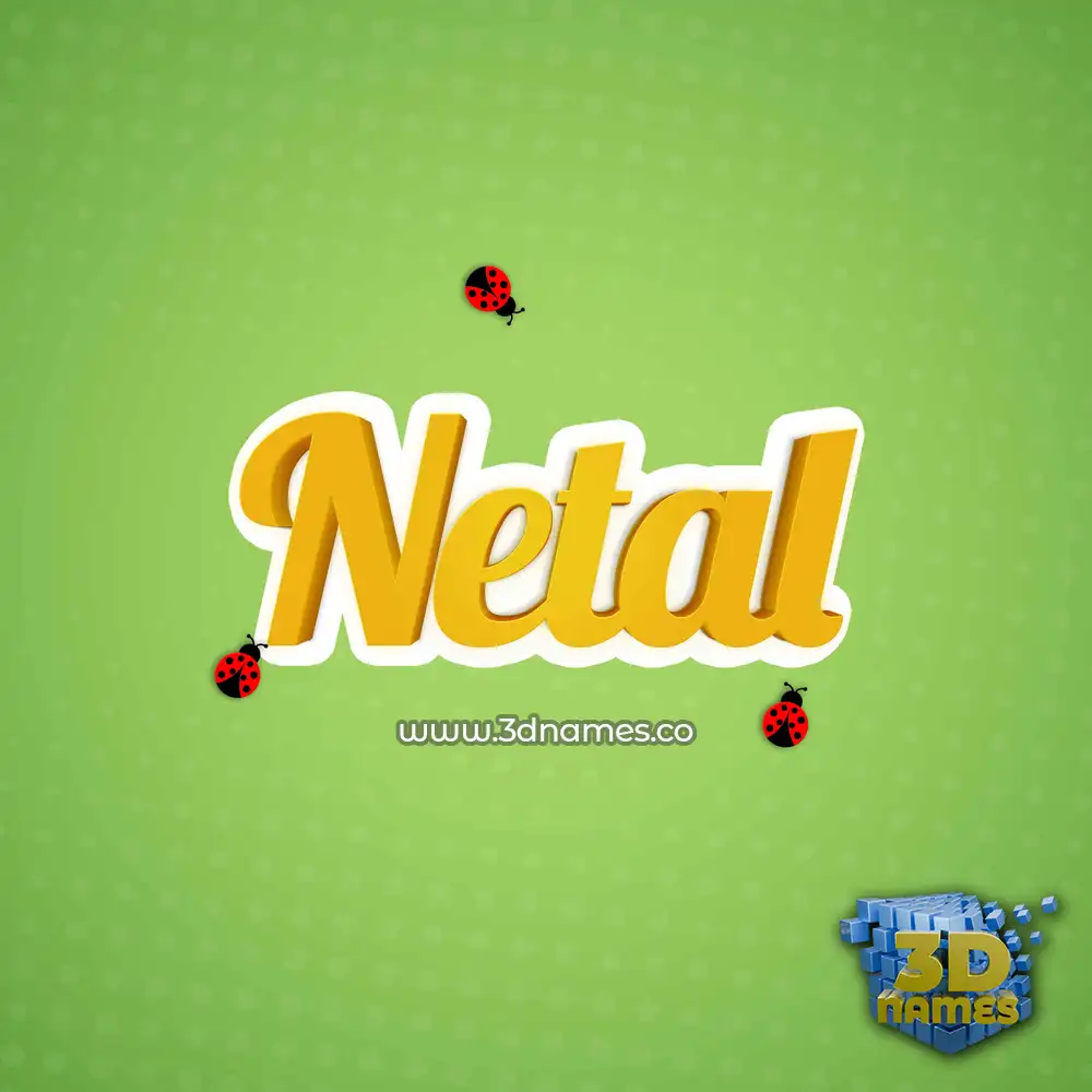 netal in Ladybugs style - 3D name wallpaper