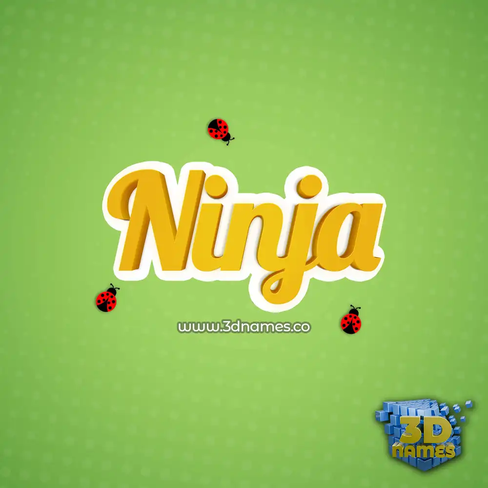 ninja in Ladybugs style - 3D name wallpaper