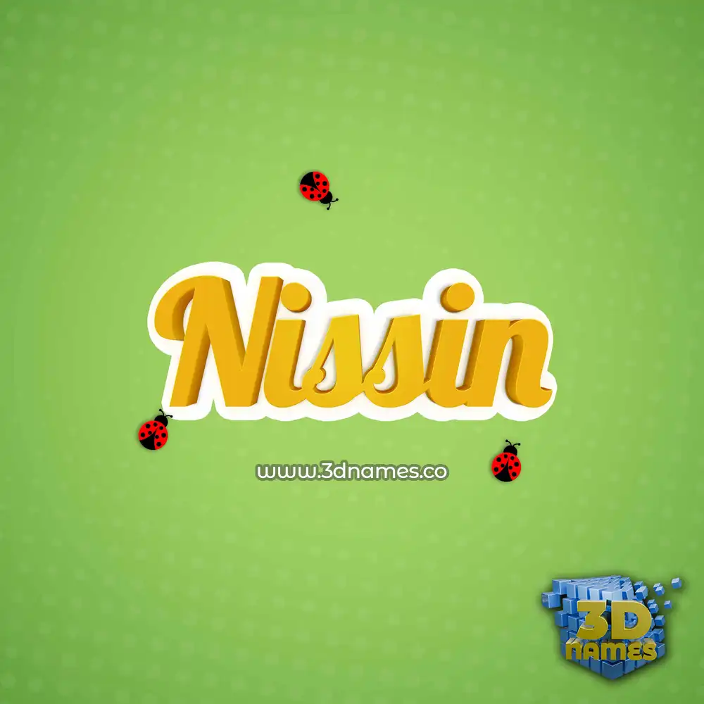 nissin in Ladybugs style - 3D name wallpaper