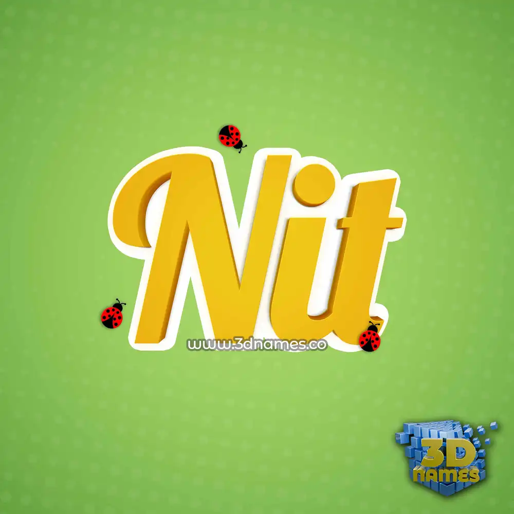 nit in Ladybugs style - 3D name wallpaper