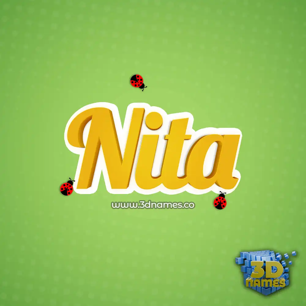 nita in Ladybugs style - 3D name wallpaper