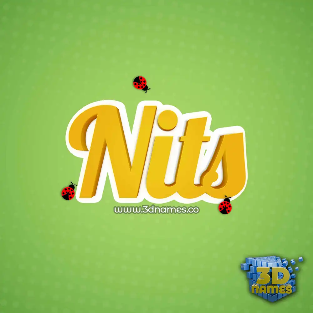 nits in Ladybugs style - 3D name wallpaper