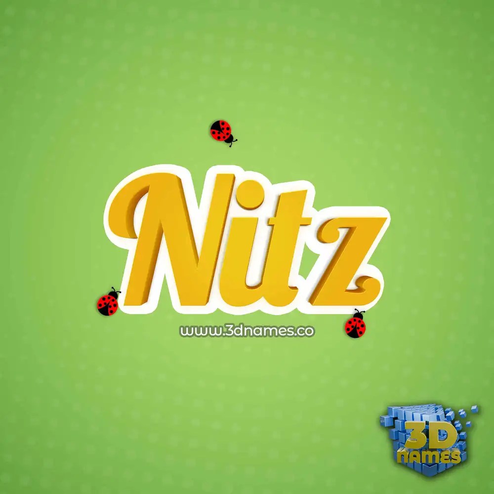 nitz in Ladybugs style - 3D name wallpaper