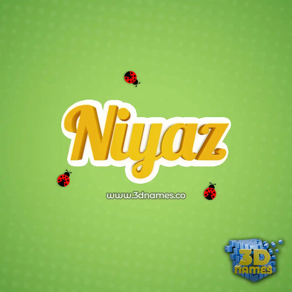 niyaz in Ladybugs style - 3D name wallpaper