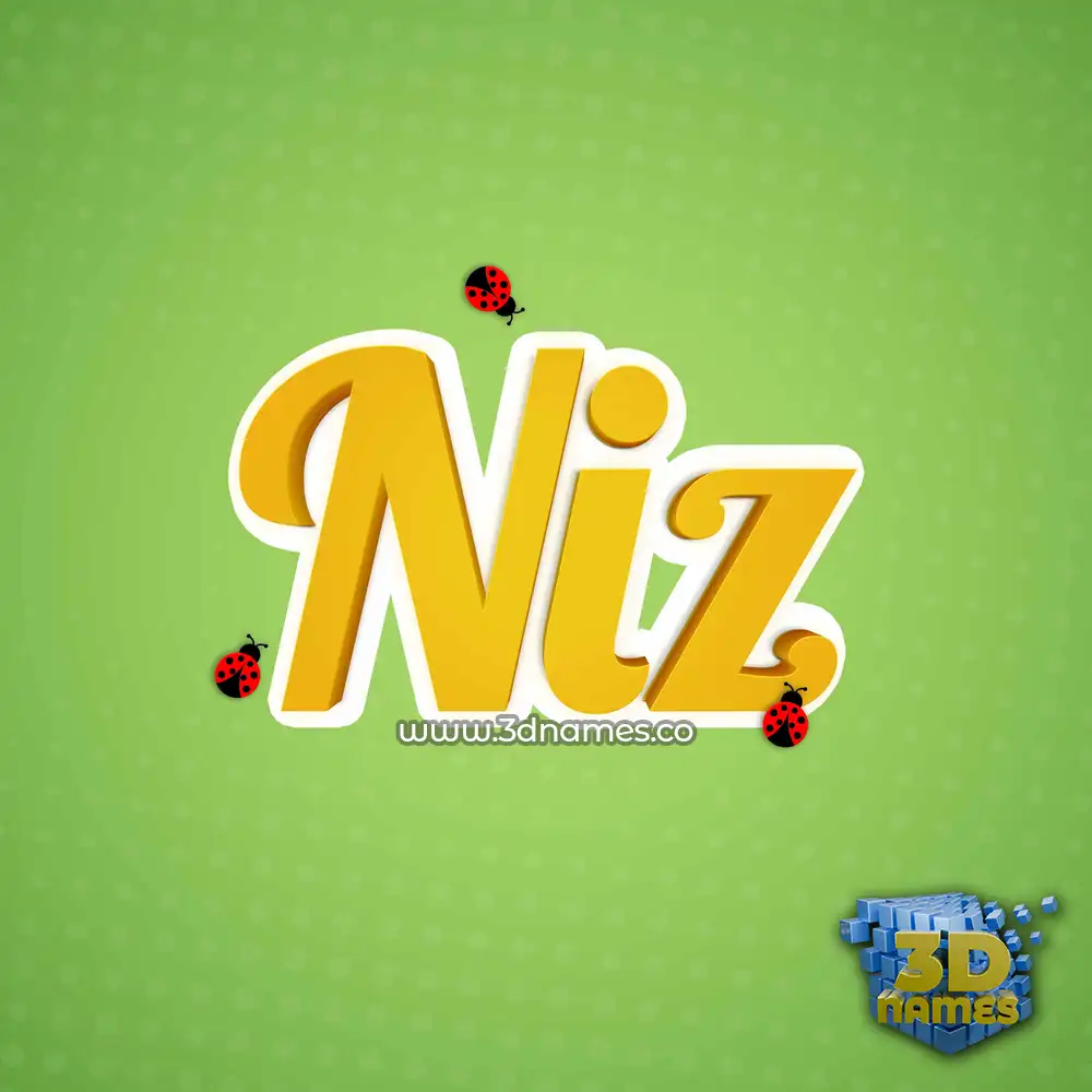 niz in Ladybugs style - 3D name wallpaper