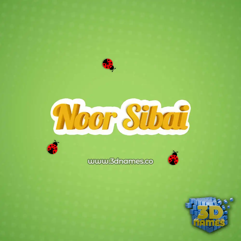 noor sibai in Ladybugs style - 3D name wallpaper