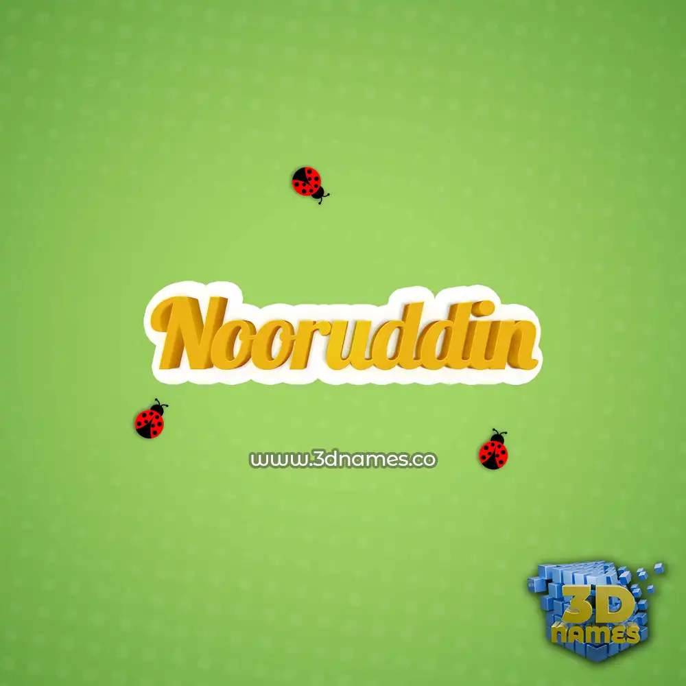 nooruddin in Ladybugs style - 3D name wallpaper