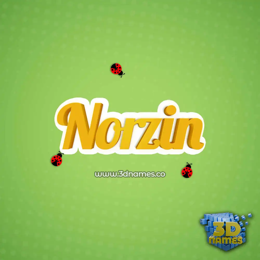 norzin in Ladybugs style - 3D name wallpaper