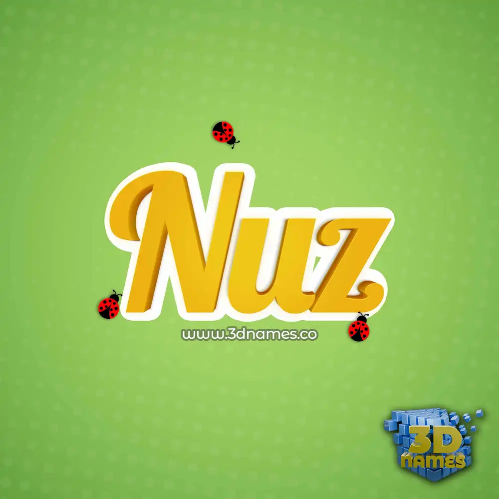 nuz in Ladybugs style - 3D name wallpaper