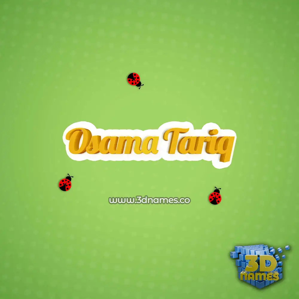 osama tariq in Ladybugs style - 3D name wallpaper