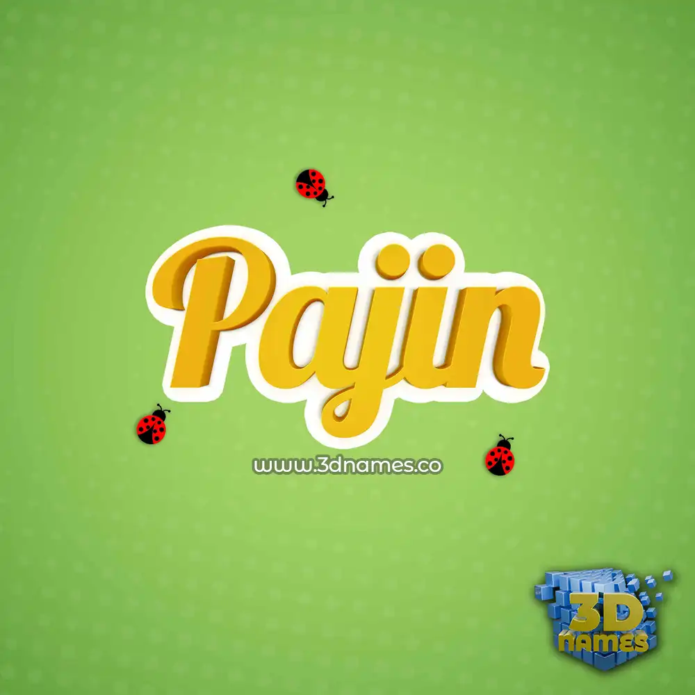 pajin in Ladybugs style - 3D name wallpaper