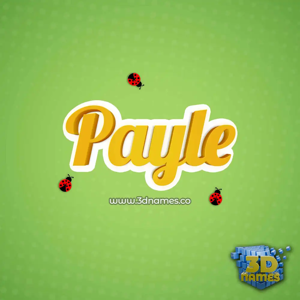 payle in Ladybugs style - 3D name wallpaper