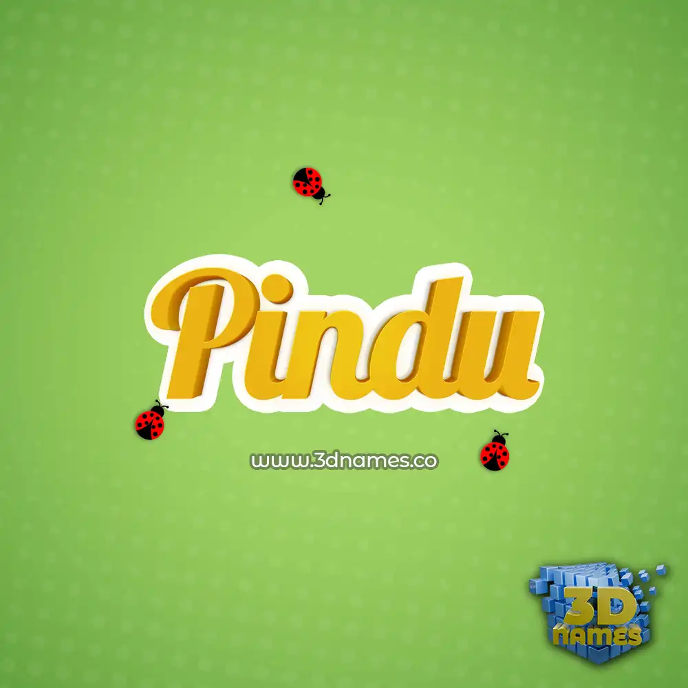 pindu in Ladybugs style - 3D name wallpaper