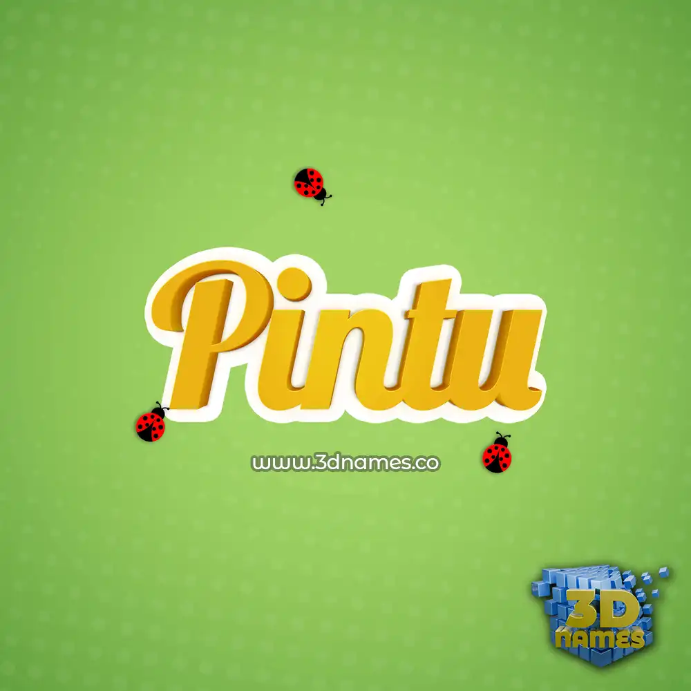 pintu in Ladybugs style - 3D name wallpaper