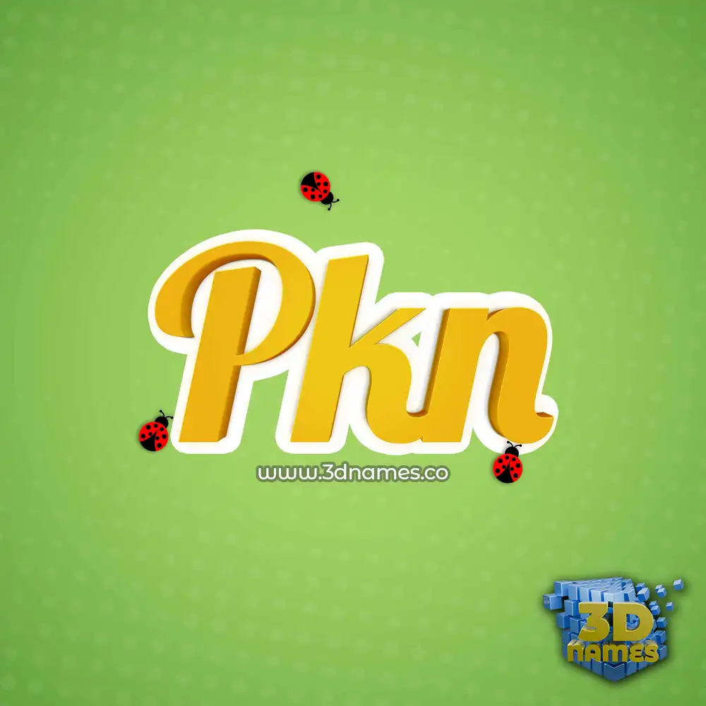 pkn in Ladybugs style - 3D name wallpaper