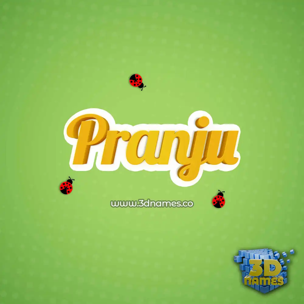 pranju in Ladybugs style - 3D name wallpaper