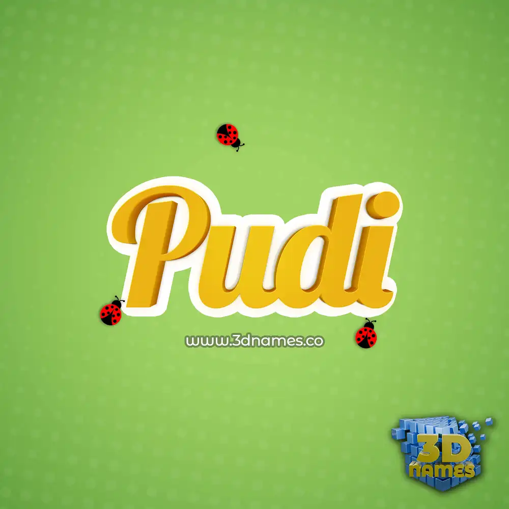 pudi in Ladybugs style - 3D name wallpaper