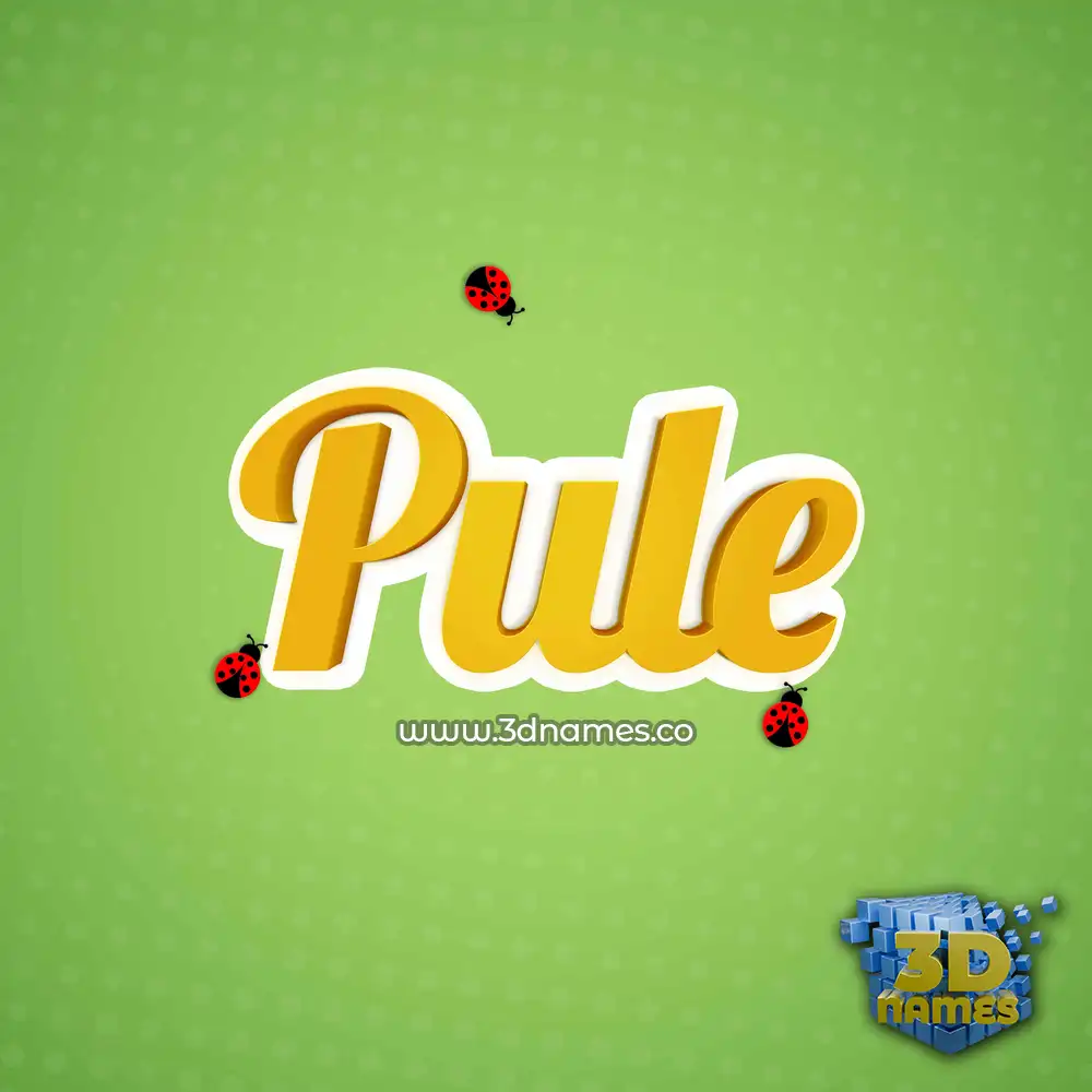 pule in Ladybugs style - 3D name wallpaper