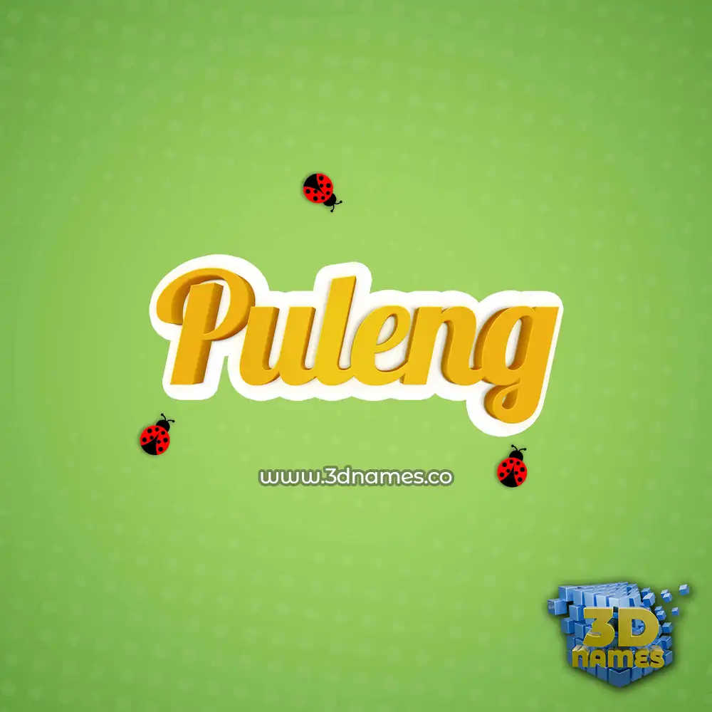 puleng in Ladybugs style - 3D name wallpaper
