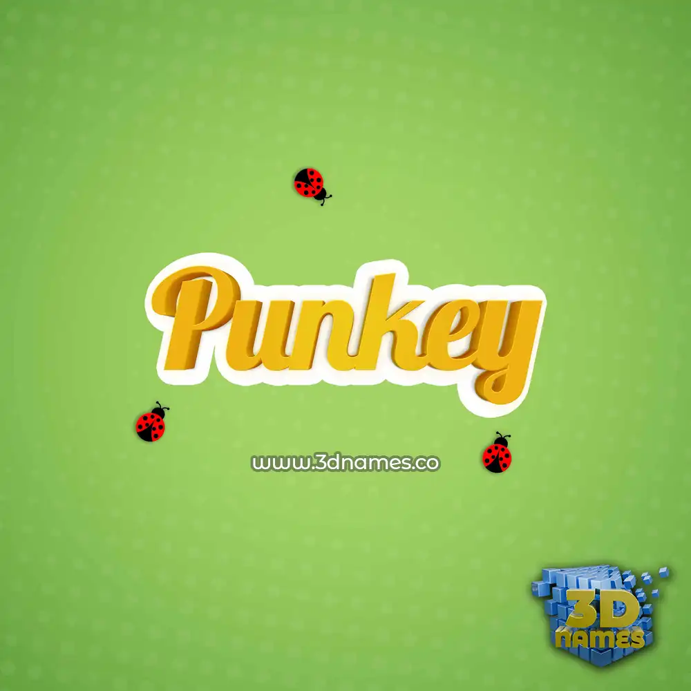 punkey in Ladybugs style - 3D name wallpaper