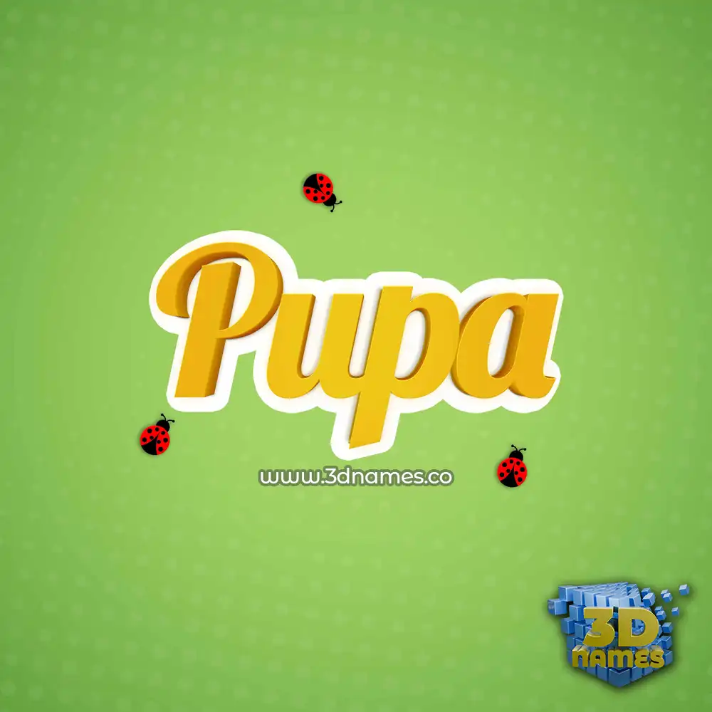 pupa in Ladybugs style - 3D name wallpaper