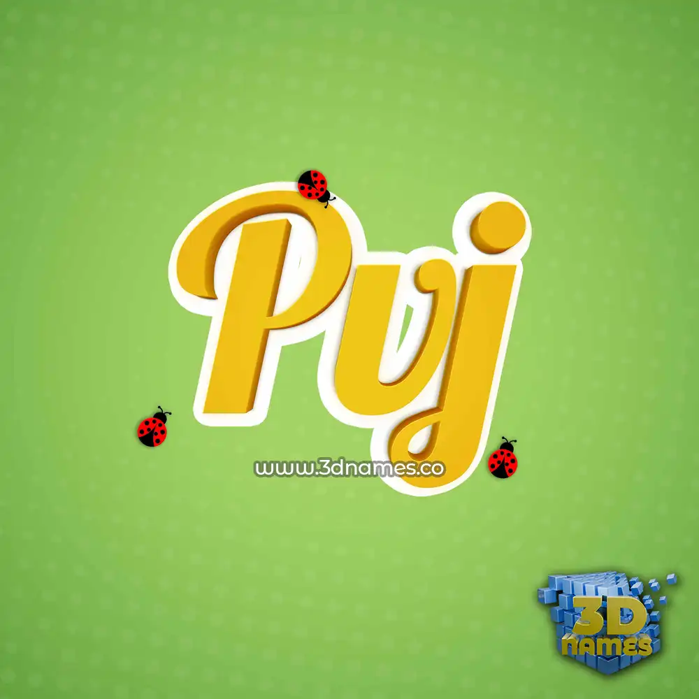 pvj in Ladybugs style - 3D name wallpaper
