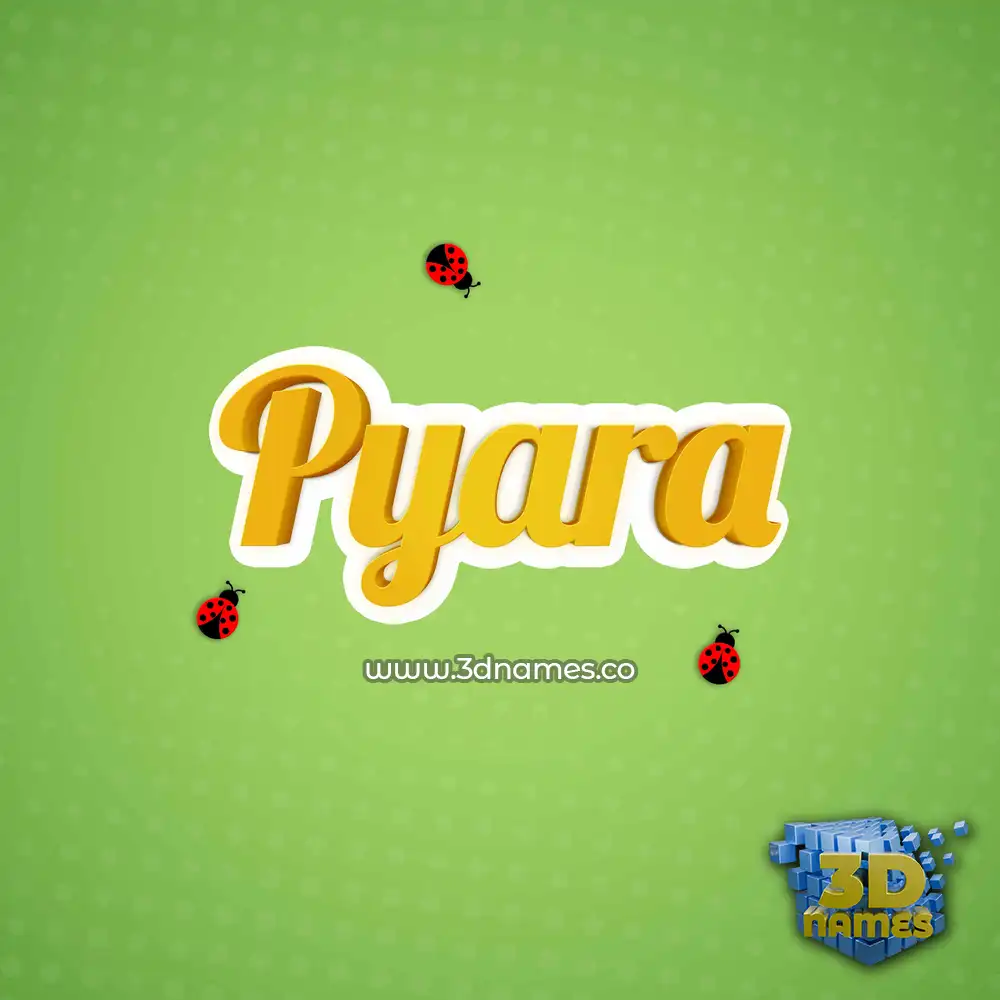 pyara in Ladybugs style - 3D name wallpaper