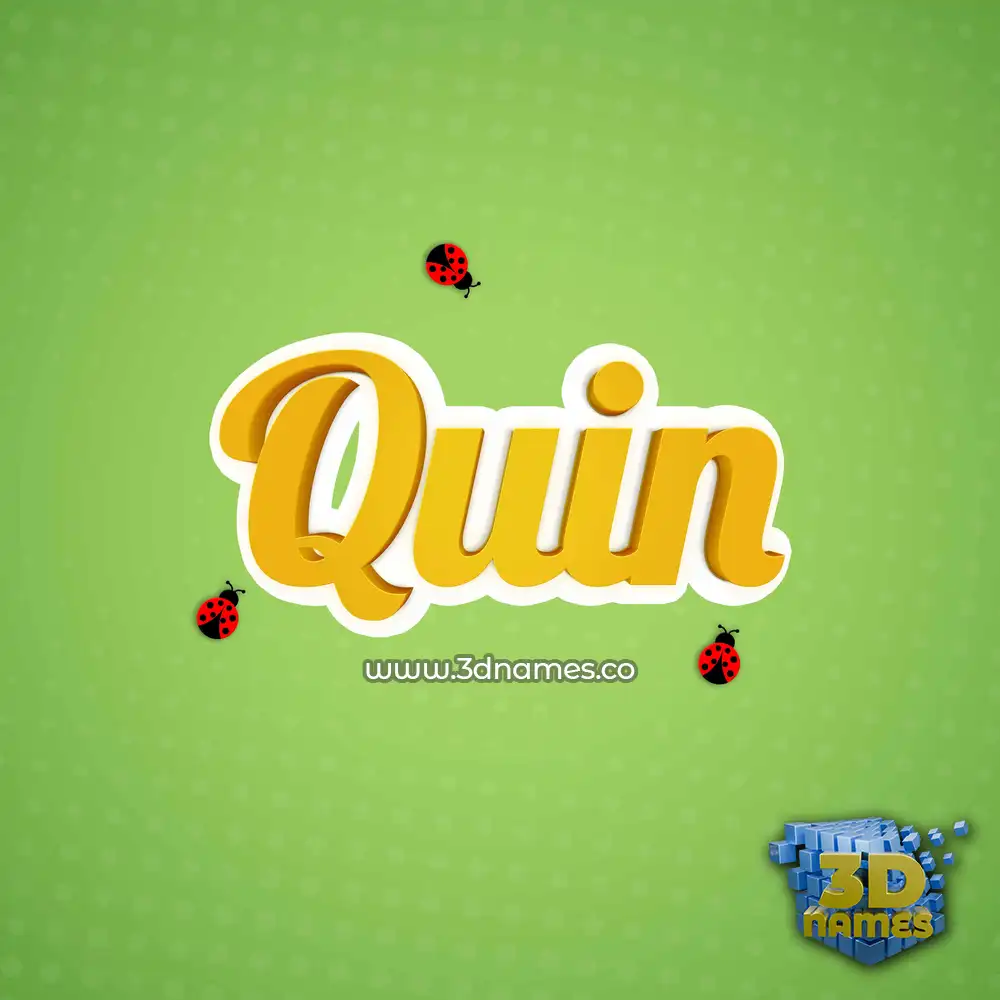 quin in Ladybugs style - 3D name wallpaper