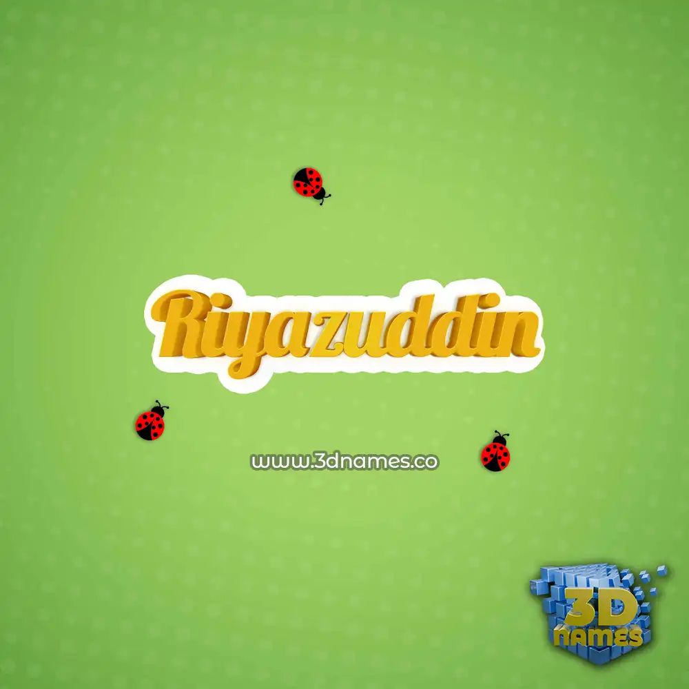 riyazuddin in Ladybugs style - 3D name wallpaper